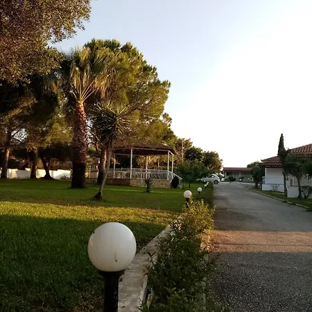 Dimitris Group